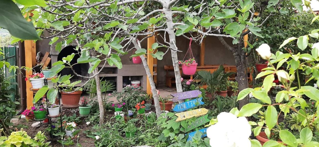 Family House Primorsko Apartment Exterior foto
